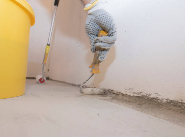 Best Real Estate Pest Inspections  in Hazen, ND